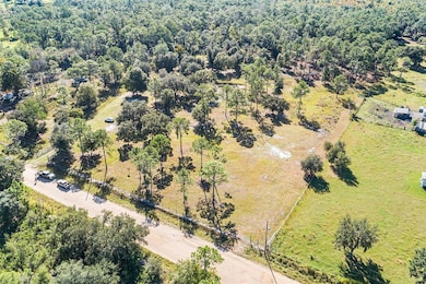 1405 Fazzini Dr, Frostproof, FL 33843 - photo 2