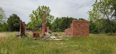 3437 Greene 715 Rd, Paragould, AR 72450 - photo 6