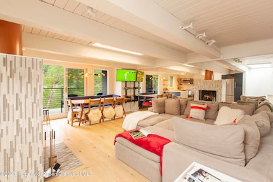 1039 E Cooper Ave unit 16A, Aspen, CO 81611 - photo 2