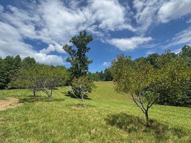 Peach Trees
