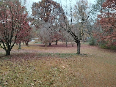 57 Rob Brooks Rd, Crandall, GA 30711 - photo 6