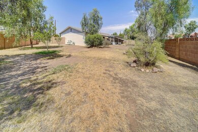Huge Yard