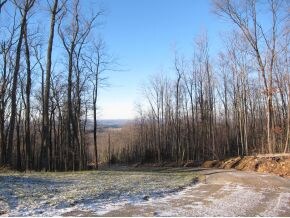 1902 Old Mountain Rd, Greeneville, TN 37743 - photo 3