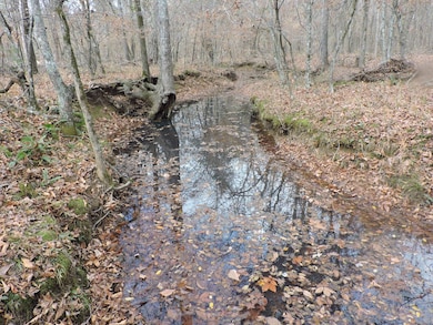 OFF Cold Spring Rd, Waldron, AR 72958 - photo 3