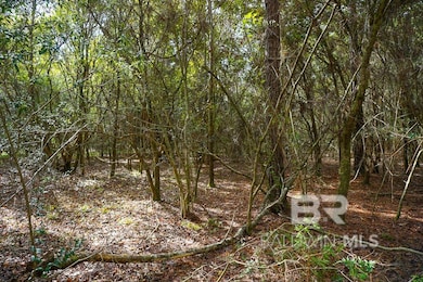 0 Smith Young Rd, Mobile, AL 36695 - photo 3