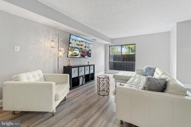 8641 Sacramento Dr unit B, Alexandria, VA 22309 - photo 5