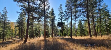 160 Torto Loop, Kila, MT 59920 - photo 2