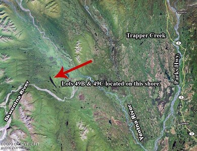 L49B No Rd, Skwentna, AK 99667 - photo 5