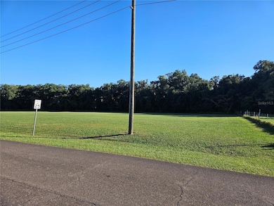 TBD SW 5th Ave, Williston, FL 32696 - photo 4