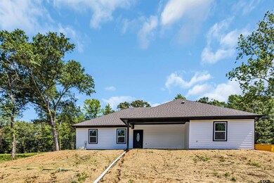 11524 County Road 219, Tyler, TX 75707 - photo 6