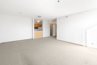 Kirchoff Meadows unit 306, Rolling Meadows, IL 60008 - photo 2