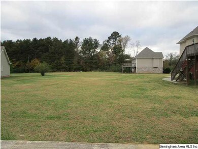 Large, level back yard
