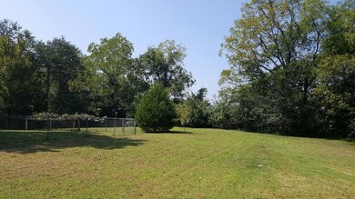 Summer Back Yard