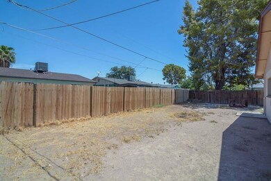 Backyard2