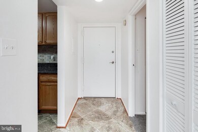 Sentinel of Landmark unit 722, Alexandria, VA 22304 - photo 7