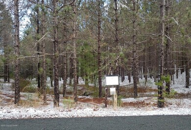 Lot 10 Vallone Way, Blooming Grove Township, PA 18428 - photo 3