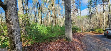 3 LOTS Ridgecrest Dr unit 76,78,80, Blue Ridge, GA 30513 - photo 4