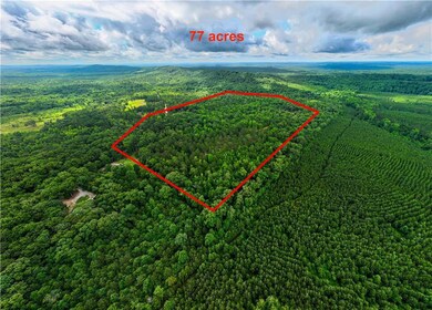 Aerial overview of property's location featuring a forest and property boundaries highlighted