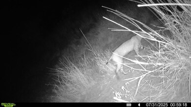 0 Cameron Ln, Fowlerton, TX 78021 - photo 5