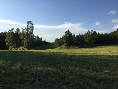 0 Thomas Springs Rd unit RTC2954745, Crossville, TN 38572 - photo 5