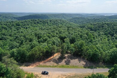 1901 New Era Ridge Rd, Linden, TN 37096 - photo 2