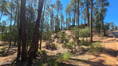 Chaparral Pines Lot 525