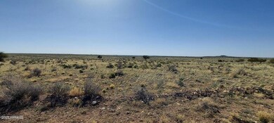 6232 S Prairie Grass Ln unit 294, Williams, AZ 86046 - photo 6