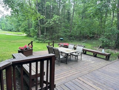 24919 E Riverside Dr, Hillman, MI 49746 - photo 3