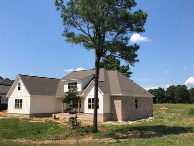 140 Downing St, Oxford, MS 38655 - photo 2