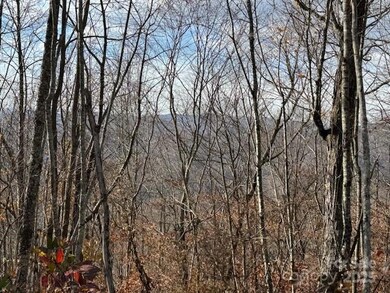 50 Scenic Wolf Ridge Rd, Mars Hill, NC 28754 - photo 4