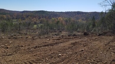 0 Highway 128 unit 2207517, Linden, TN 37096 - photo 4