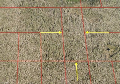 Access Undetermined- E Terry St, Bonita Springs, FL 34135 - photo 2