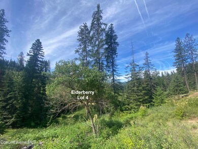 2304 S Blue Creek Lots 2 3 4 Rd, Coeur D'Alene, ID 83814 - photo 7