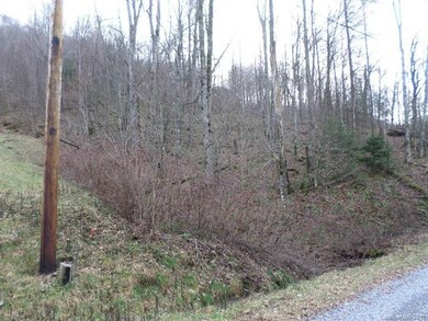 looking at lot from the road