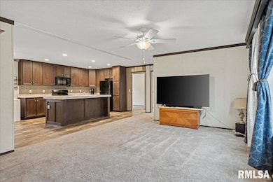 3725 N Peoria Rd unit 203, Springfield, IL 62702 - photo 3