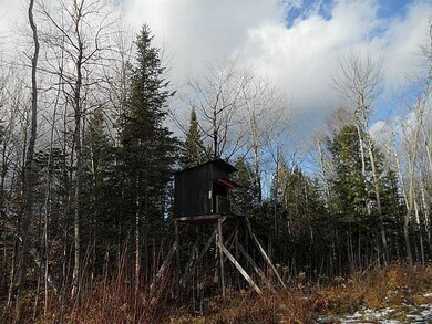 M2 L42 E Ridge Road (Off), Cornville, ME 04976 - photo 5