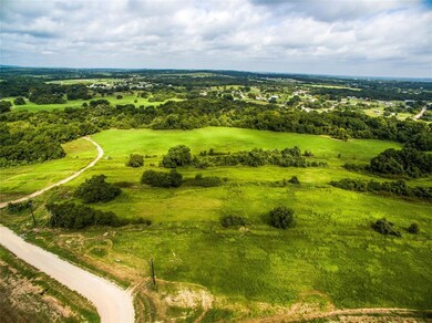 299 Mastadon Way, Weatherford, TX 76085 - photo 5