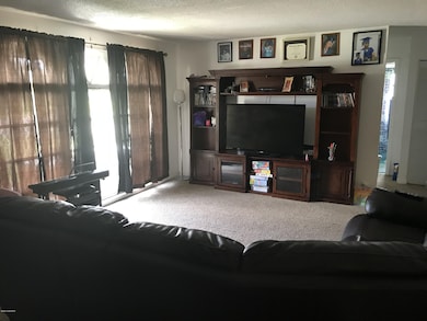 Living View II