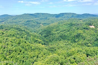 0 Westbourne Rd unit 1274842, Duff, TN 37729 - photo 7