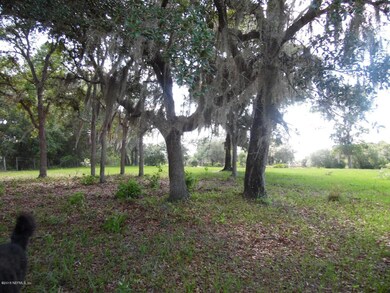 3 closeup of oak hammock (Custom)