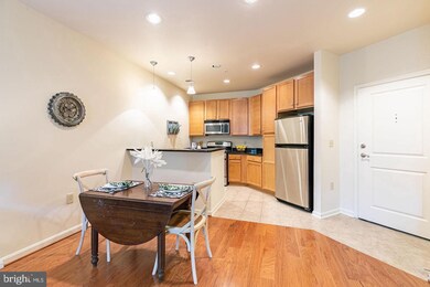 Halstead at The Metro unit 102, Fairfax, VA 22031 - photo 5