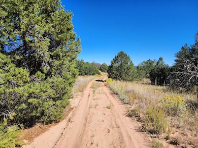 Davids Rock Rd, Pinehill, NM 87357 - photo 6