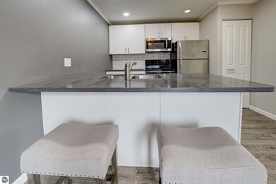 1021 Centre St unit 7, Traverse City, MI 49686 - photo 5