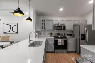 17143 Red Feather Dr unit 17143, Charlotte, NC 28277 - photo 6