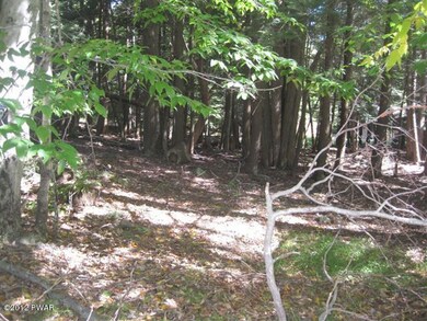 30 Red Hawk Dr, Paupack Township, PA 18436 - photo 4