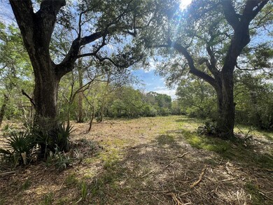 0 Cr 400 Tract 3, Brazoria, TX 77422 - photo 3