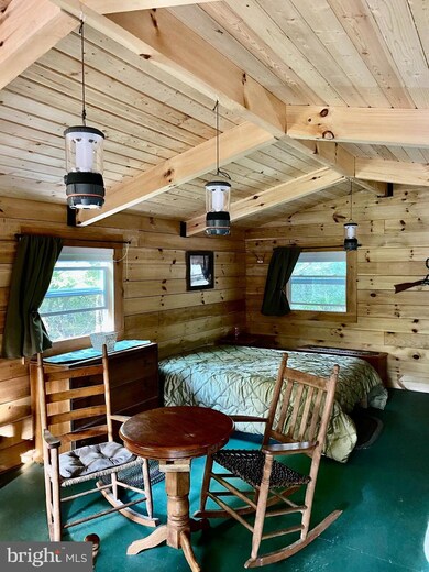 Lot #9 Native Trout Ln, Sugar Grove, WV 26815 - photo 3