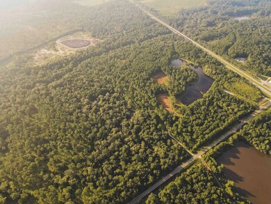 210 Egg & Butter Rd, Ochlocknee, GA 31773 - photo 7