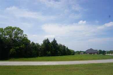 22115 Meadowhurst Cir, Tomball, TX 77377 - photo 5