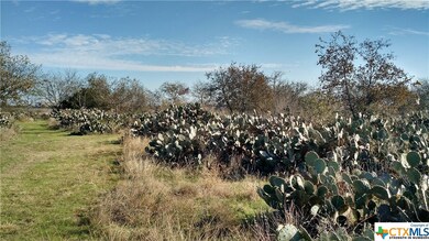 2720 Post Rd, San Marcos, TX 78666 - photo 3